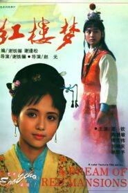 红楼梦第一部：宝黛相会（上） 1989 on netflix