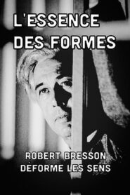 The Essence of Forms 2010 on netflix