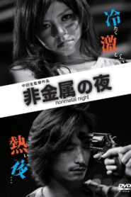 Nonmetal Night 2013 on netflix