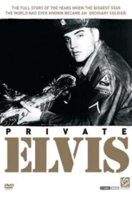 Private Elvis 1993 on netflix