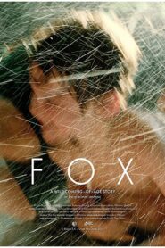Fox 2016 on netflix