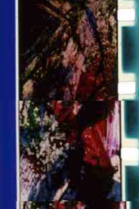 Shockingly Hot 1996 on netflix