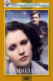 The Guide 2001 on netflix