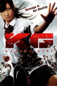 Karate Girl 2011 on netflix