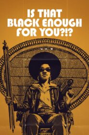 Is That Black Enough for You?!? 2022 on netflix