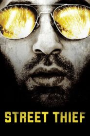 Street Thief 2006 on netflix