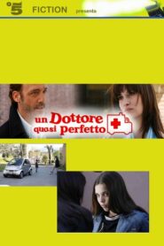 Un dottore quasi perfetto 2007 on netflix