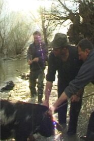 Danube Soap Opera 2006 on netflix