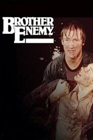 Brother Enemy 1981 on netflix