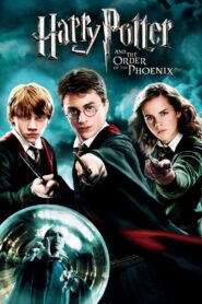 Harry Potter and the Order of the Phoenix 2007 on netflix