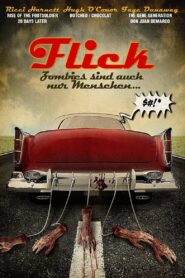 Flick 2008 on netflix