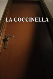 Ladybird 1999 on netflix