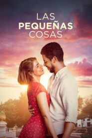 Las Pequeñas Cosas 2024 on netflix
