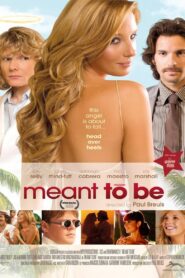Meant To Be 2010 on netflix