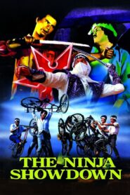 The Ninja Showdown 1988 on netflix