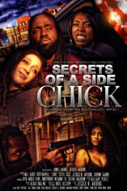 Secrets of a Side Chick 2021 on netflix