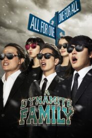 A Dynamite Family 2014 on netflix