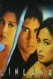 Linlang 1999 on netflix