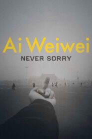 Ai Weiwei: Never Sorry 2012 on netflix