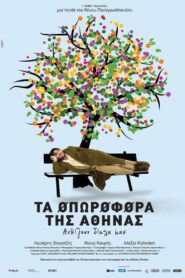 The fruit carriers of Athens 2010 on netflix
