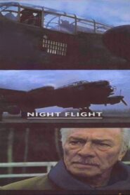 Night Flight 2002 on netflix