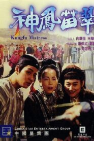 Kung Fu Mistress 1994 on netflix