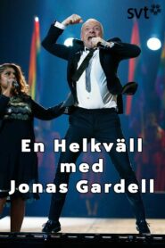 En Helkväll med Jonas Gardell 2013 on netflix