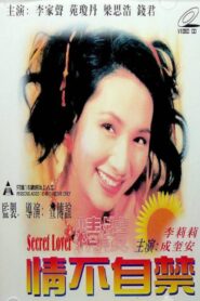 Secret Lover 1995 on netflix