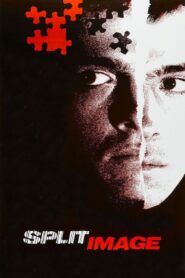 Split Image 1982 on netflix