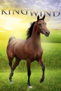 King of the Wind 1990 on netflix