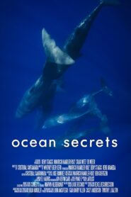 Ocean Secrets 2020 on netflix