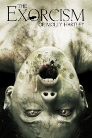The Exorcism of Molly Hartley 2015 on netflix
