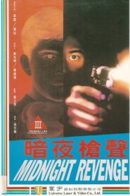 Midnight Revenge 1995 on netflix