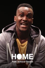 National Theatre Archive: Home 2013 on netflix