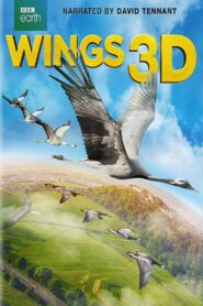 Wings 3D 2014 on netflix