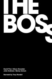 The Boss 1991 on netflix