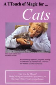 A TTouch of Magic for Cats 1994 on netflix