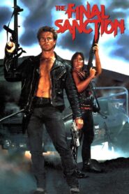 The Final Sanction 1990 on netflix