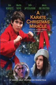 A Karate Christmas Miracle 2019 on netflix