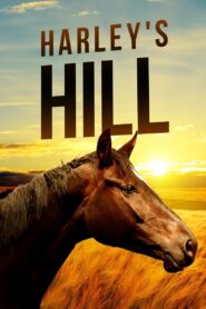 Harley’s Hill 2011 on netflix