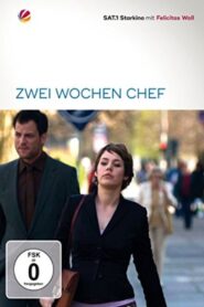 Zwei Wochen Chef 2007 on netflix
