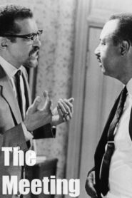 The Meeting 1989 on netflix
