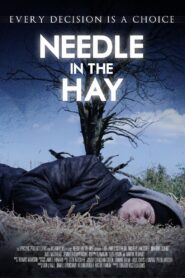 Needle in the Hay 2011 on netflix