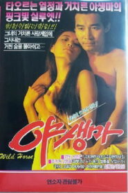 Wild Horse 1983 on netflix