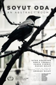 An Abstract Room 2018 on netflix