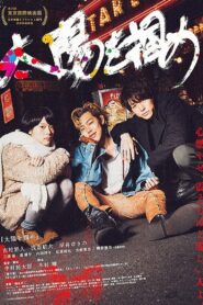 太陽を掴め 2016 on netflix