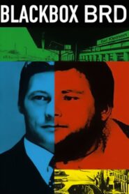 Black Box BRD 2001 on netflix