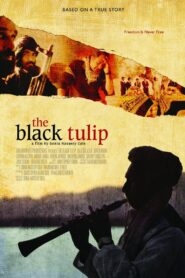 The Black Tulip 2012 on netflix