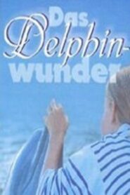 Das Delphinwunder 1999 on netflix
