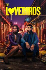 The Lovebirds 2020 on netflix